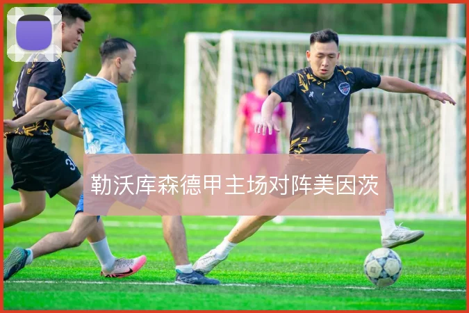 勒沃库森德甲主场对阵美因茨