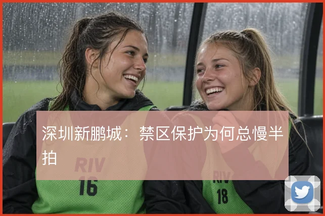深圳新鹏城:禁区保护为何总慢半拍
