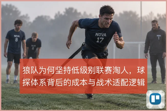 狼队为何坚持低级别联赛淘人,球探体系背后的成本与战术适配逻辑