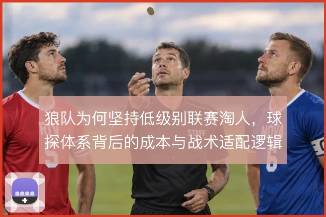 狼队为何坚持低级别联赛淘人,球探体系背后的成本与战术适配逻辑