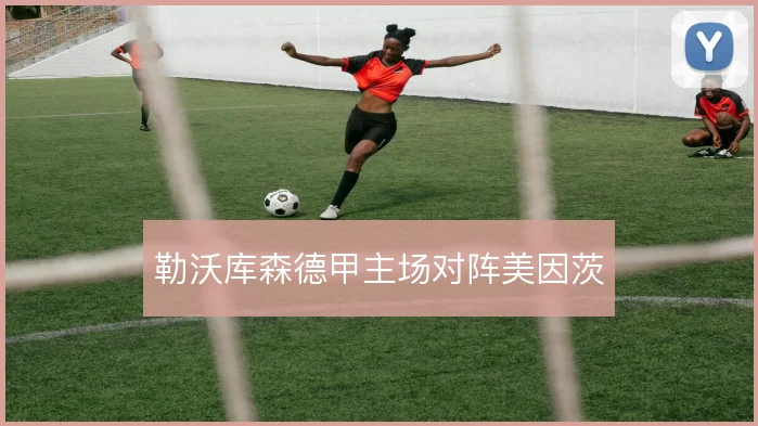 勒沃库森德甲主场对阵美因茨