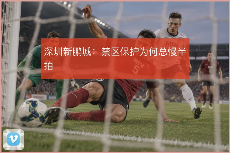 深圳新鹏城:禁区保护为何总慢半拍